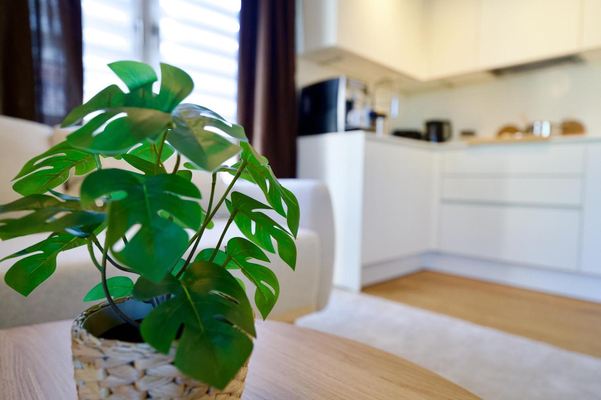 Edler Wohnraum Schwanenteich-Oase Mit Balkon, Kaffeevollautomat, Lift & Parkplatz Apartment Zwickau Ngoại thất bức ảnh